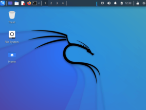 How to Install Kali Linux Using USB Boot Drive_16